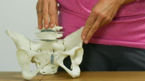 Pelvis Floor-Beckenboden im Fokus. Kompetenz,die hält!