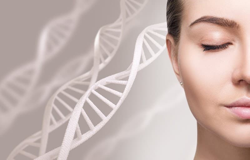 Heidrun Erlenkötter PRAXIS FÜR NATURHEILVERFAHREN Diagnostik & Therapie Reizdarm, Leaky Gut, Bioidentische Hormone, Burnout…