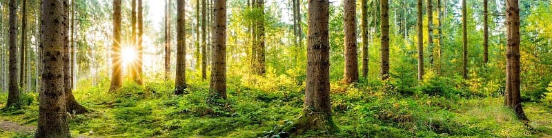 Heilpraxis Wengerter - Akupunktur und Chinesische Medizin